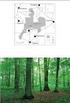 Porosty Lasów Rogowskich SGGW (3): rezerwat Doliska, zespół przyrodniczo-krajobrazowy Dolina Mrogi i uroczysko Gutkowice