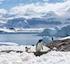Antarktyda- rejs przez krainę lodu