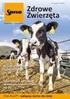 Schładzanie krów w okresie lata poprawia dochodowość gospodarstwa i komfort zwierząt