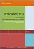 BEZROBOCIE 2016 POWIAT LUBAŃSKI REALIZACJA ZADAŃ PRZEZ POWIATOWY URZĄD PRACY W LUBANIU