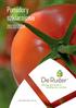 Pomidory szklarniowe 2013 /