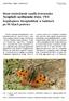 Nowe stwierdzenie rusałki drzewoszka Nymphalis xanthomelas (Esper, 1781) (Lepidoptera: Nymphalidae) w Sudetach po 90 latach przerwy
