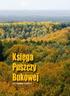 PUSZCZA BUKOWA raniona przez człowieka, ale ciągle żywa i posiadająca ogromną zdolność zapominania