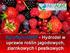 AgroNanoGel - Hydrożel w uprawie roślin jagodowych, ziarnkowych i pestkowych