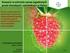 Nowości w ochronie upraw jagodowych przed chorobami i szkodnikami w Polsce