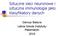 Sztuczne sieci neuronowe i sztuczna immunologia jako klasyfikatory danych. Dariusz Badura Letnia Szkoła Instytutu Matematyki 2010