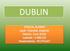 Dublin powstał jako osada Wikingów. Po inwazji Normanów stał się głównym miastem Irlandii. Jako stolica Irlandii funkcjonuje od 1922 roku.