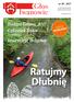 Ratujmy Dłubnię. Głos. Budżet Gminy 2017 Człowiek Roku TV Refleksja. Inwestycje drogowe GAZETA BEZPŁATNA. nr 38 / 2017