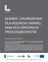 SZANSE i ZAGROŻENiA. MAŁYCH i ŚREDNiCH PRZEDSiĘBiORSTW
