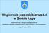 Wspieranie przedsiębiorczości w Gminie Łapy