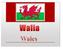 Nazwa Walia jest spolszczoną wersją angielskiej nazwy Wales, która jest germańskim egzonimem pochodzącym od germańskiego słowa Walha i oznacza