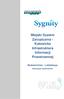 Miejski System Zarządzania - Katowicka Infrastruktura Informacji Przestrzennej