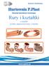 Hurtownia P.Plast. Materiały hydrauliczne i instalacyjne. Rury i kształtki. z miedzi system zaprasowywany z miedzi. Wrocław 2017 r.