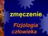 zmęczenie Fizjologia człowieka