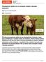 Szczepienia bydła: na co szczepić cielęta i dorosłe osobniki?