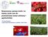 Nowoczesna uprawa malin: na świeży rynek oraz do przetwórstwa (nowe odmiany i agrotechnika)