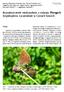 Rozmieszczenie modraszków z rodzaju Phengaris (Lepidoptera: Lycaenidae) w Górach Sowich