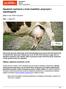 Zapalenie wymienia u krów (mastitis): przyczyny i zapobieganie
