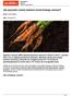 Jak poprawić rozwój systemu korzeniowego warzyw?
