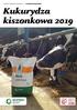 Kukurydza kiszonkowa 2019