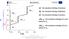 H γ0 - the standard enthalpy of g phase. H β γ - the transition enthalpy of b to g