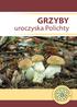 GRZYBY. uroczyska Polichty