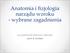 Anatomia i fizjologia narządu wzroku - wybrane zagadnienia. na podstawie literatury zebrała: prof. B. Kostek