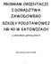 PROGRAM ORIENTACJI I DORADZTWA ZAWODOWEGO SZKOŁY PODSTAWOWEJ NR 40 W KATOWICACH. z oddziałami gimnazjalnymi