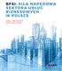 BFSI: SIŁA NAPĘDOWA SEKTORA USŁUG W POLSCE ABSL INDUSTRY OUTLOOK 2018