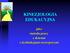 KINEZJOLOGIA EDUKACYJNA. jako metoda pracy z dziećmi z dysfunkcjami rozwojowymi