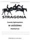 LKS STRAGONA STRZEGOM