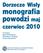 monografia powodzi maj czerwiec 2010