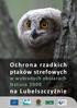 Ochrona rzadkich ptaków strefowych w wybranych obszarach Natura 2000 na Lubelszczyźnie