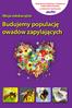 Budujemy populację owadów zapylających