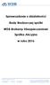 Sprawozdanie z działalności. Rady Nadzorczej spółki. WDB Brokerzy Ubezpieczeniowi Spółka Akcyjna. w roku 2016