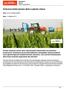 Ochrona herbicydowa zbóż a jakość ziarna