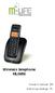 Wireless telephone ML0656
