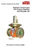 Energieversorgung aus einer Hand. Regulator ciśnienia gazu Gas Pressure Regulator CITYFLOW CF. The Experts in Energy Supply