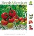Seeds&Services. Rijk Zwaan Katalog 2012 pomidor ogórek