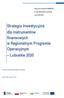 Strategia Inwestycyjna dla instrumentów finansowych w Regionalnym Programie Operacyjnym Lubuskie 2020