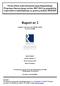 Raport nr 2. Zgodnie z umową nr DU-BZ /06 Nr DG-F/15/2006. John Bradley* Janusz Zaleski*/** Paweł Tomaszewski* Marek Zembaty*